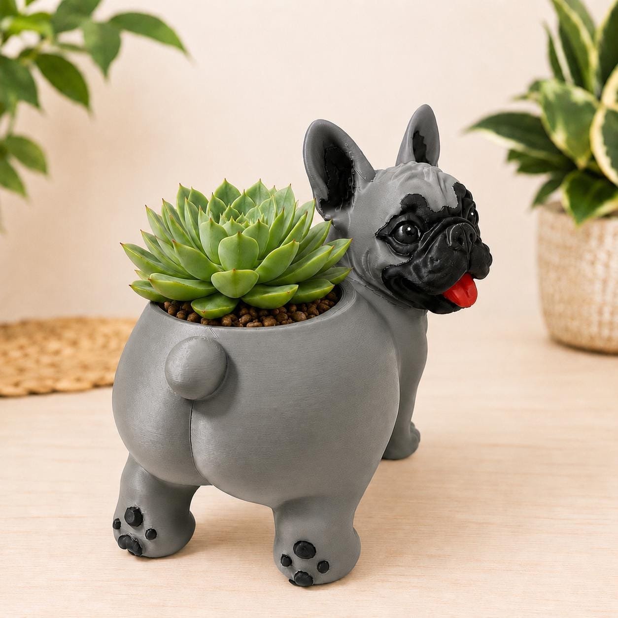 Additional angle of the French Bulldog Succulent Planter with Drainage Holes showing its shape, size, or use